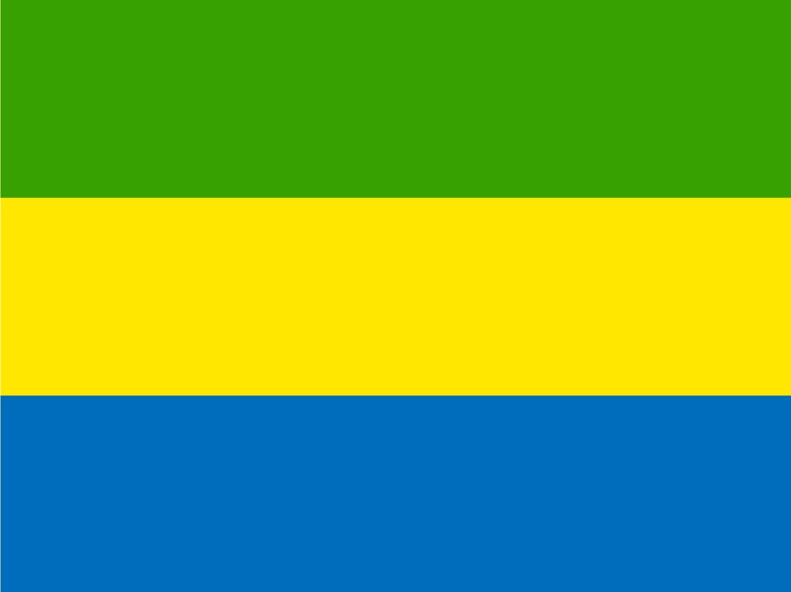 Gabon flag.jpg